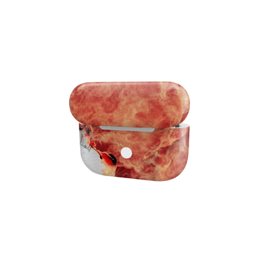 Apple AirPods Pro 100 Bill Fire