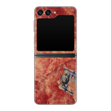 Galaxy Z Flip 5 Back Only 100 Bill Fire