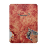 Kindle Paperwhite 12th Gen 2024 Full Wrap 100 Bill Fire