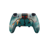 PS5 Controller Eyez